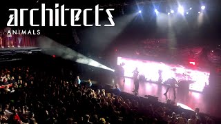 Architects  Animals LIVE  Boston MA 2024 [upl. by Arul]