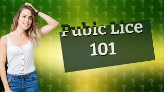 What do pubic lice look like [upl. by Paolina]