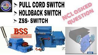 PULL CORD SWITCH  HOLD BACK SWITCH Safety Devices Of Conveyor Belt in hindi [upl. by Jeralee571]