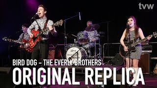 The Everly Brothers  Bird Dog Cover by Original Replica  Next Level [upl. by Ethelbert860]