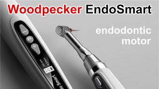 Woodpecker EndoSmart Endodontic Motor Review [upl. by Torey]