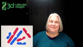 How to Model a Karyotype [upl. by Ifar]