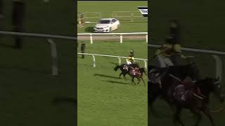 Galopin is Gold Cup King again horse horseracing racingtv sport britishhorseracing [upl. by Hollerman]