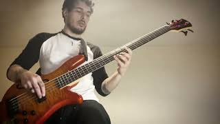 Mellowship Slinky in B major  Red Hot Chili Peppers  Bass Guitar Cover by Andres Johnstone [upl. by Naimed134]