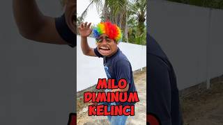 Milo Abang Diminum Kelinci😱😡😤 [upl. by Otilesoj]