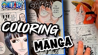 My One Piece Manga Coloring Journey  ワンピース  ART PIECE [upl. by Regor]