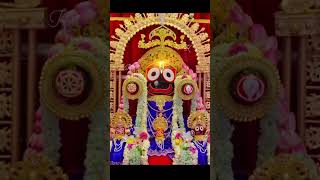 Jay Jagannath ⭕❗⭕ Jay Jagannath University admission [upl. by Auqinet]