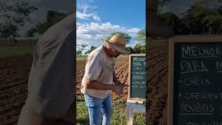 Em qual lua você planta mandioca agro campo roça solo agricultura [upl. by Bianchi]