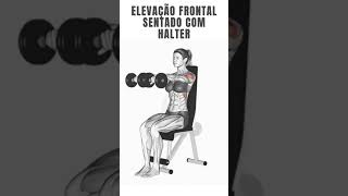 elevação frontal sentado com halter [upl. by Miguela632]