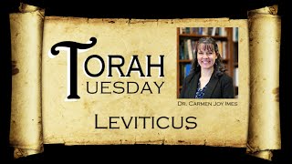 Torah Tuesday  Leviticus [upl. by Lemart802]