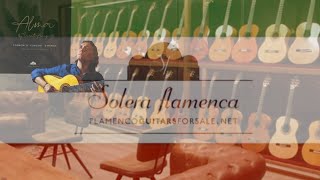 Solera Flamenca STRINGS available in IRÁN [upl. by Calie]