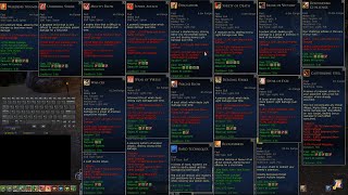 Lotro 2024 Warden Endgame Guide [upl. by Chang]