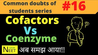 Cofactors Vs coenzyme  coenzyme and cofactors  Coenzyme in Hindi  enzymes class 11 Biology [upl. by Elawalo627]