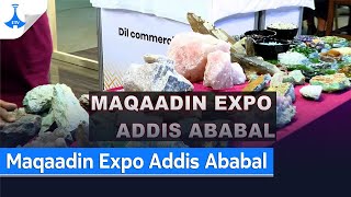 Maqaadin Expo Addis Ababal [upl. by Ogait]