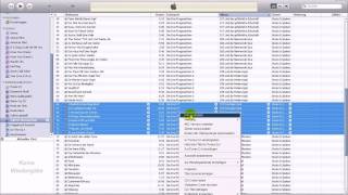 Hörbücher in iTunes kennzeichnen Tutorial [upl. by Ehtylb]