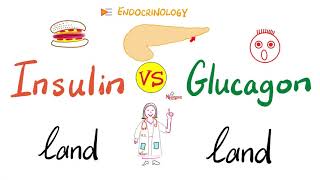 Insulin world vs Glucagon world  A Tale of Two Hormones  Feeding vs Fasting  Endocrinology [upl. by Lotson]