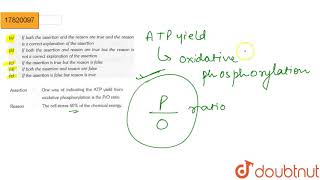 Assertion Both hexokinase and glucokinase require divalent cation Mg or Mn [upl. by Lundell]