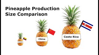 Pineapple Production Size Comparison by Country  AbyazTW comparison [upl. by Nido]