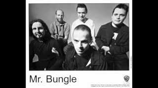 Mr Bungle La Bambacover by live [upl. by Airdnua]