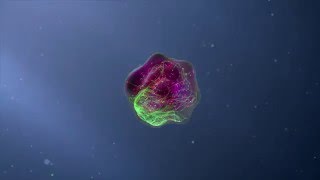 Flow Cytometry Animation [upl. by Ikcin816]