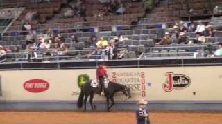 Sr Western pleasure AQHA WORLD SHOW 2008 [upl. by Polik]