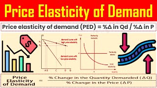 Price Elasticity of Demand  Definition Meaning Calculation Formula Explained [upl. by Byrd]