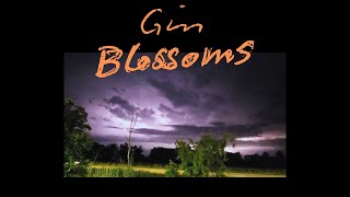 Gin Blossoms amp Minnesota Lightning Storm [upl. by Naitsirhk]