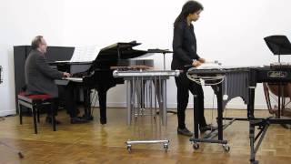 Aram Khachaturian  Sabre Dance  Xylophone Vibraphone [upl. by Darrill476]