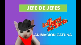 Jefe de Jefes  Los Tigres Del Norte  Versión Gatuna 😺 [upl. by Nolahp]