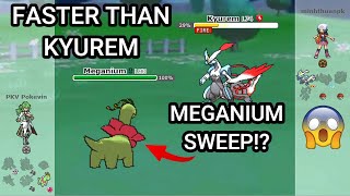 The Unforseen Meganium Comeback Pokemon Showdown Random Battles High Ladder [upl. by Roberson406]