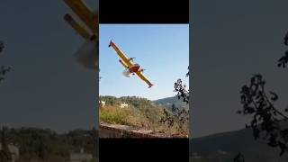 Lleno de espuma canadair pilot aviation wildfire bomberos incendio helicopter [upl. by Amsa]