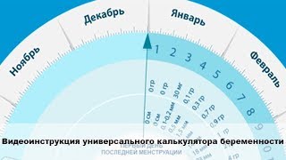 Видеоинструкция универсального калькулятора беременности гестационный круг [upl. by Ahsinra851]