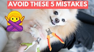 5 Common Nail Clipping Mistakes  How to Safely Trim Your Dogs Nails at Home [upl. by Cotterell354]