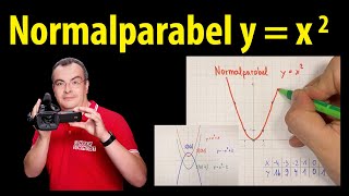 Normalparabel y  x2  quadratische Funktionen  Grundlagen  Lehrerschmidt [upl. by Nytsirhc]