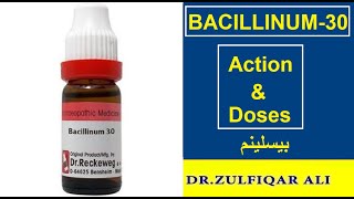 Bacillinum  Action  Doses  Explained in UrduHindi [upl. by Corell]