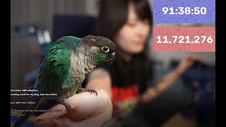 Jaiden Animations SUBATHON BIRDS Ari and Tofu Stream 🐦 😍 [upl. by Adalia]