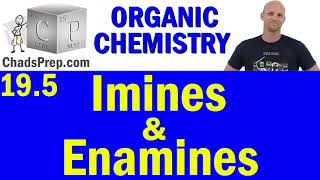 195 Imine and Enamine Formation  Addition of Amines  Organic Chemistry [upl. by Aidahs]