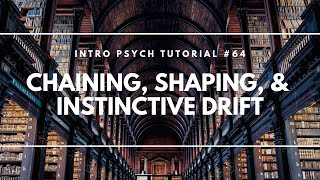 Chaining Shaping amp Instinctive Drift Intro Psych Tutorial 64 [upl. by Ynahpit458]