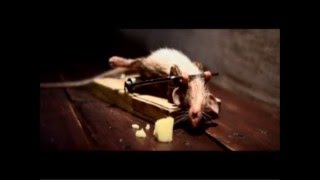 The Best Cheese Commercial Ever [upl. by Annaitsirhc]