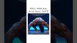 Roell winklaal  roellywinklaar Olympia [upl. by Alliuqal230]