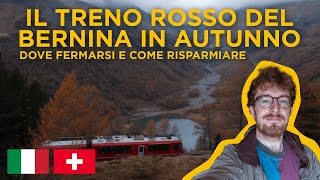 Il trenino ROSSO del BERNINA in autunno  tappe più belle e come risparmiare [upl. by Anelle389]