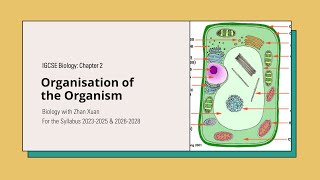 IGCSE Biology  Chapter 2  Organisation of the Organism [upl. by Alleon]