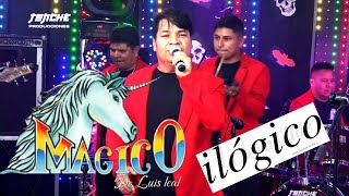 GRUPO MAGICO DE LUIS LEAL   Ilógico  En Vivo Tonche Live [upl. by Parsifal]