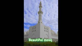 Beautiful mosq mosq viralvideo [upl. by Anaylil]