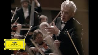 Herbert von Karajan  Strauss Ein Heldenleben Op 40 Des Helden Weltflucht und Vollendung [upl. by Charleen]