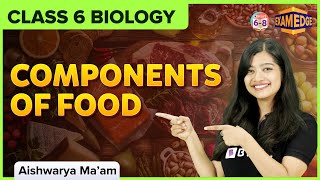 Components of Food  Class 6  Biology  EXAMEDGE [upl. by Doria989]