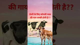 डेयरी के लिए कोनसी नस्ल की गाय अच्छी होती हैंshorts viral pashupalan pashupalantips cow [upl. by Busiek74]