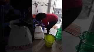 Fumigation services at Kabete Gardens [upl. by Adnarim]