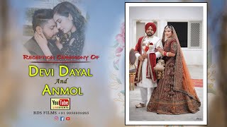 🔴LIVE  Devi Dayal And Anmol  Reception Ceremony  RDS Films 9056938265 [upl. by Aneri]