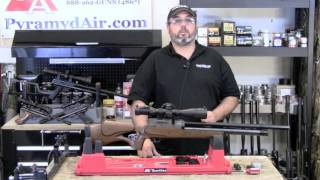 Evanix Speed Full Auto Airgun  Product Review [upl. by Sauder324]